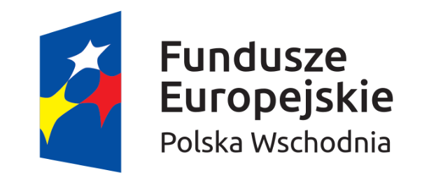 Fundusze Europejskie Logo